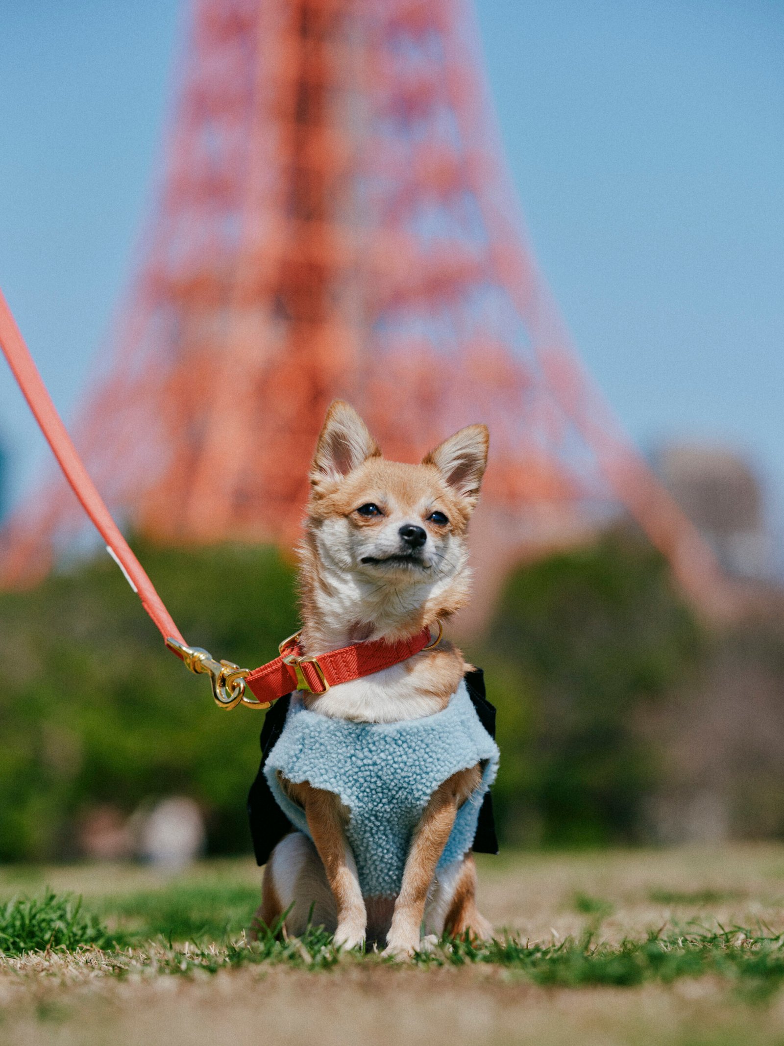 if nous Paris and Tokyo