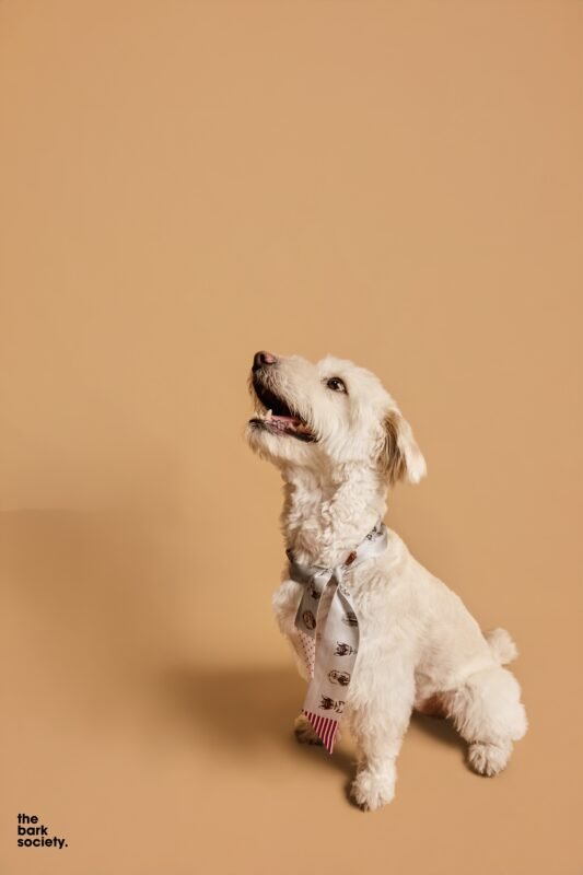 Luxury remnant fabrics used by if nous