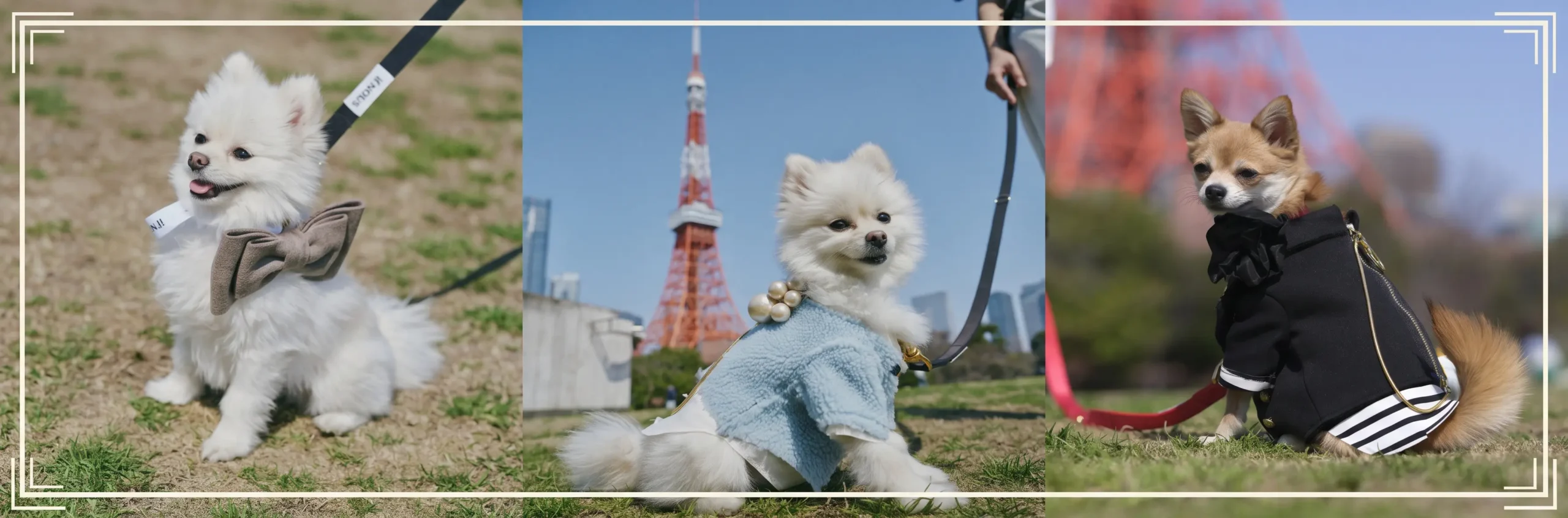if nous Paris Tokyo banner desktop